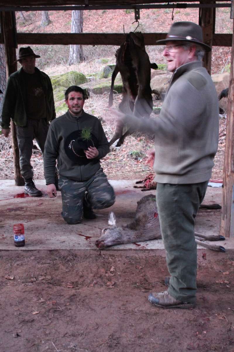 Pour GERARD / Territoire de chasse en Alsace 07610