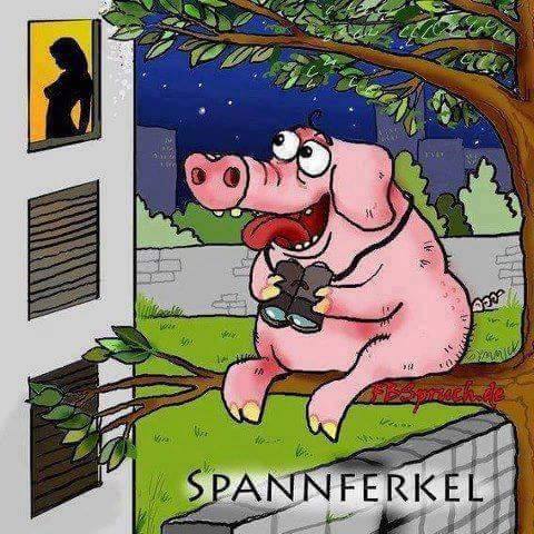 Spannferkel 13342910