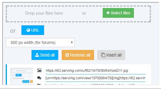 Inserire un'immagine in un post utilizzando il servizio di hosting integrato SERVIMG Host310