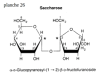glucides, liaisons osidiques  Saccha10