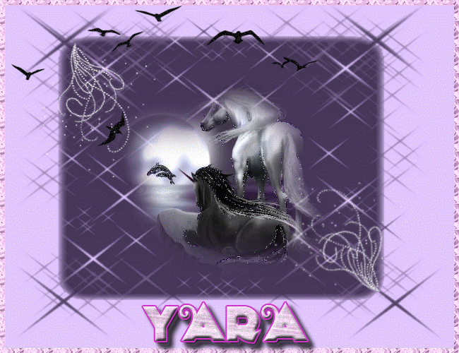 YARA  -Mis nuevos temas de Octubre  Caball11