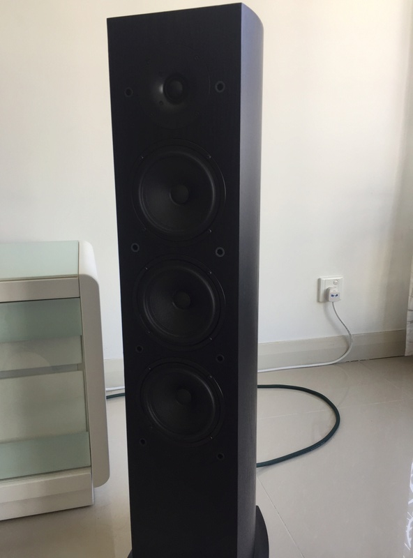 Pioneer SP-FS52 Floorstanding Speakers (Sold) Img_3711