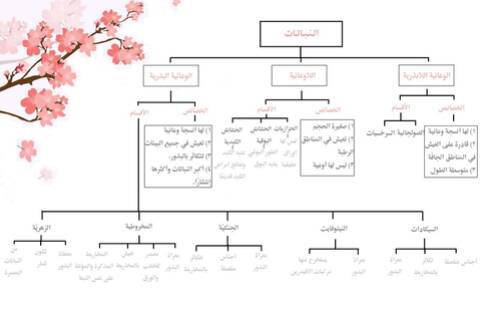 بحث عن العفة