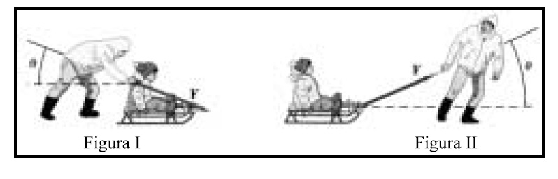 Trenó empurrado ou puxado força de atrito Oo10