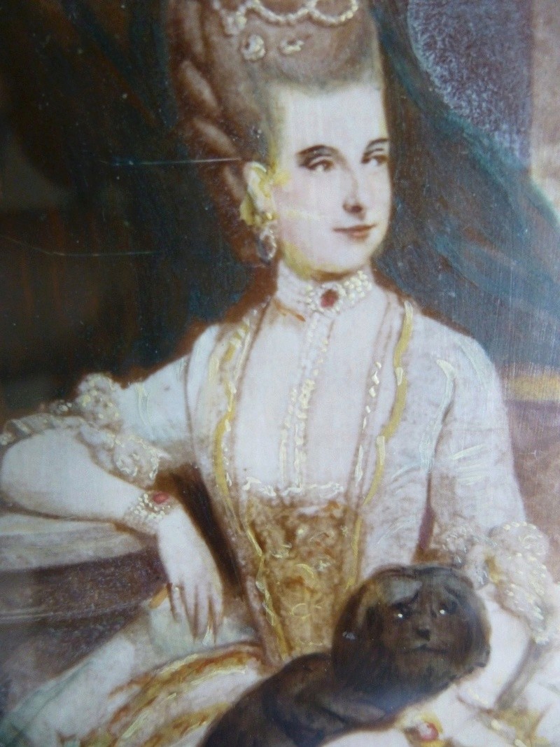 Marie-Christine Josèphe, duchesse de Saxe-Teschen, "Mimi" - Page 7 S-l16011