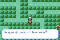 [Vert Feuille] Le Scrunlocke - Page 7 Pokem511