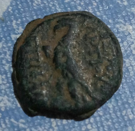 Bronze séleucide pour Antiochos IV ... ou VIII ... ? 566