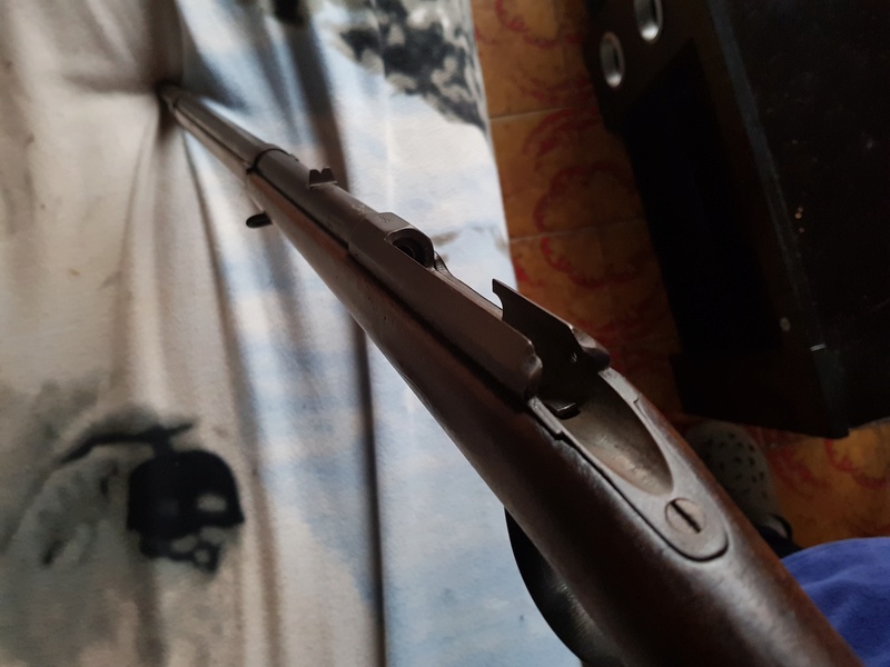 Quel culasse pour se fusil ? 20180114