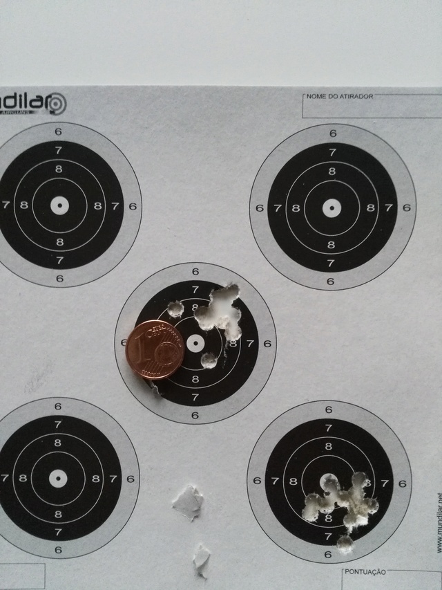 Tests plombs avec carabine Gamo Replay Gamo_r10