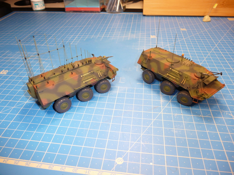 TPz1 Fuchs Eloka /TPz1 Fuchs ABC 1/72 ( Revell 03139 ) *** Terminé en pg 4 - Page 3 P1240218