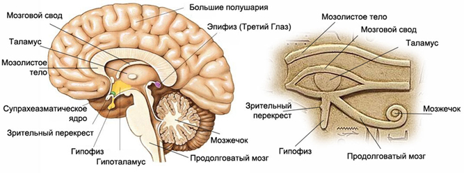 Возрождение - Практические Шаги.  - Страница 4 Kx0e110