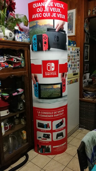 ma collection de plv totem nintendo Img_2044