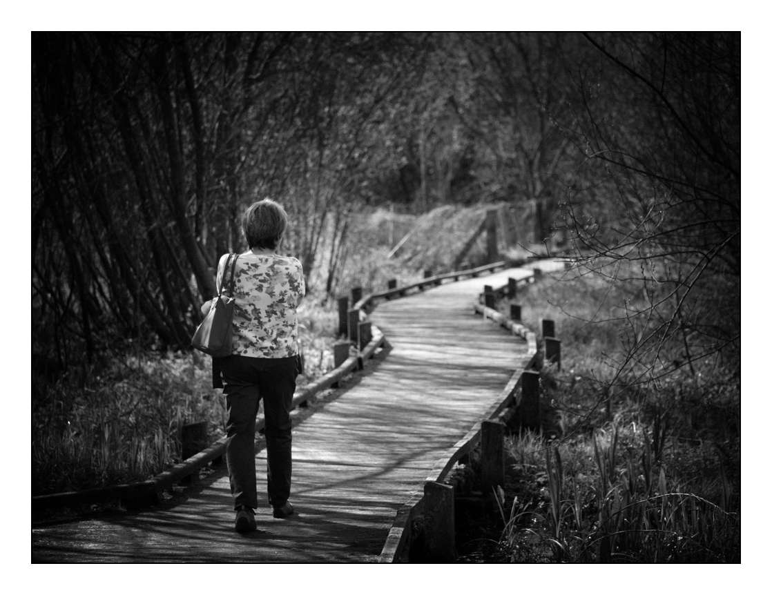 Promenade autour du lac _1004010