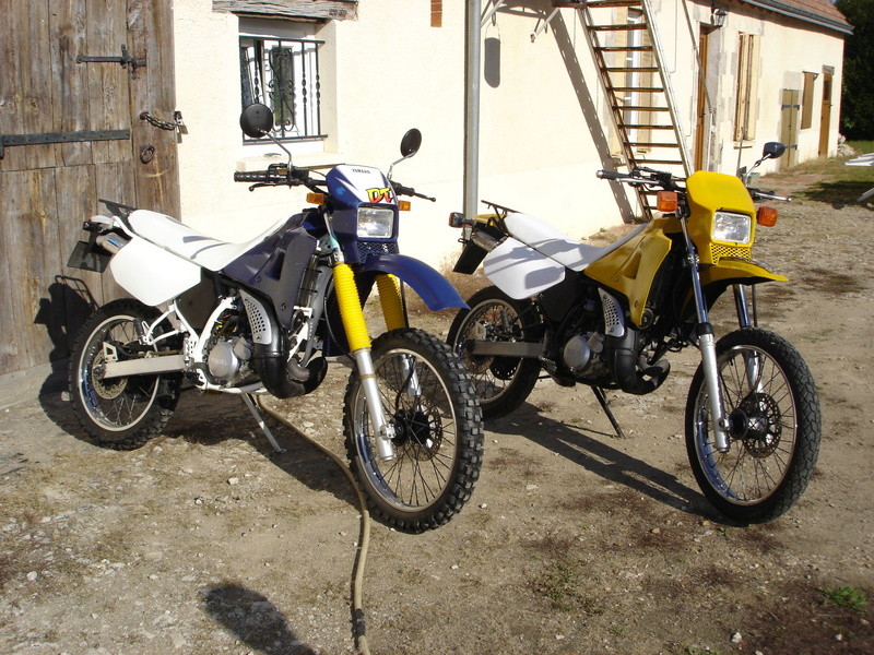 restauration de 2 Yamaha 125 DTR Dsc06010