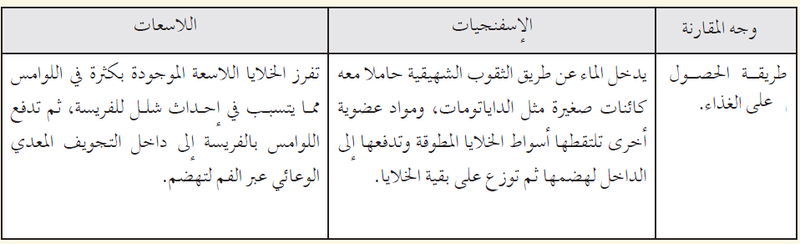 الفصل السادس : الاسفنجيات واللاسعات  11_gra10