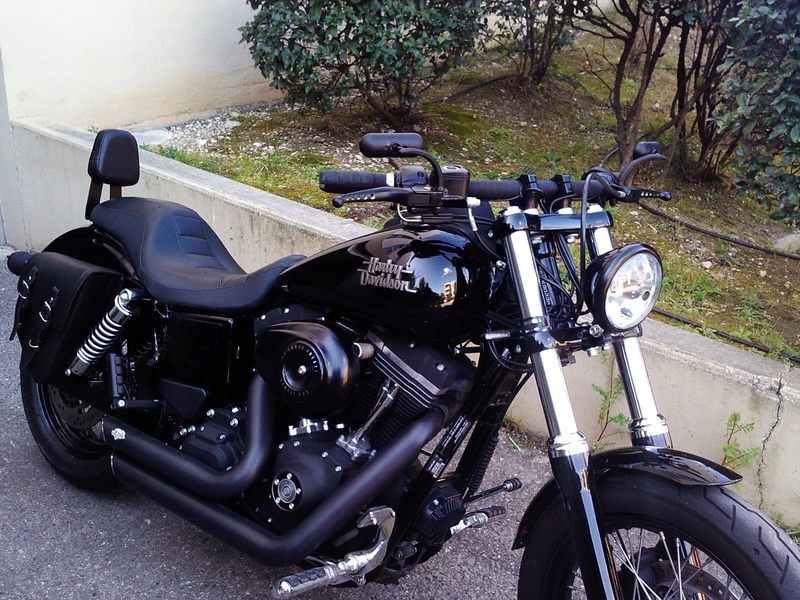 Sissy bar sur forty eight B10