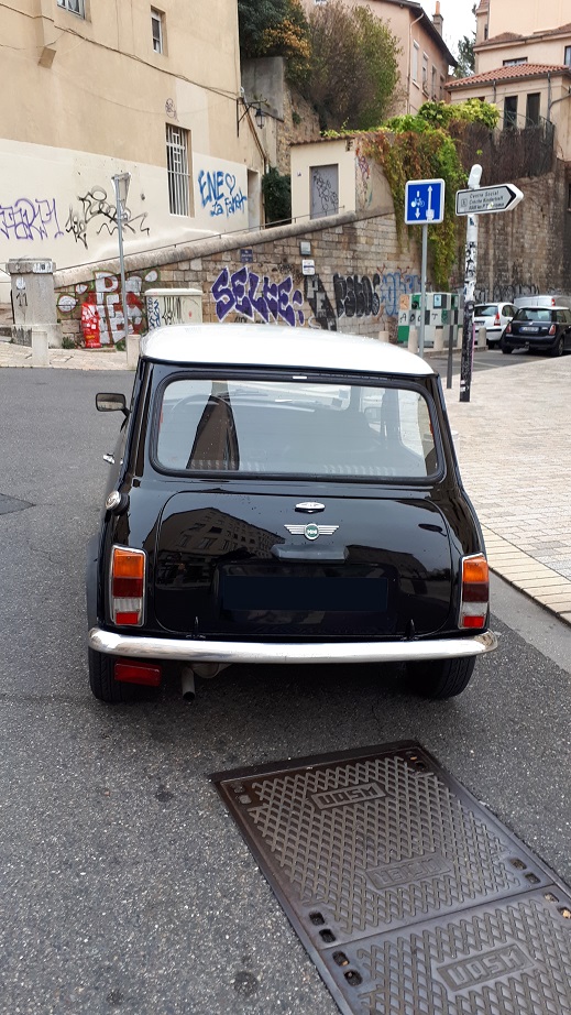 Bonjour de Lyon Mini210