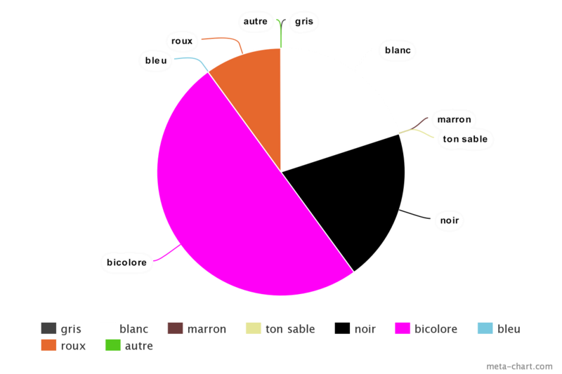 jem lé stat 2 Camyly19