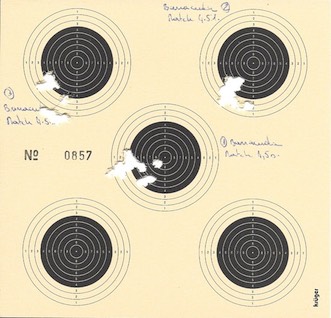 Brocock Compatto target 4,5mm 16J Compat19