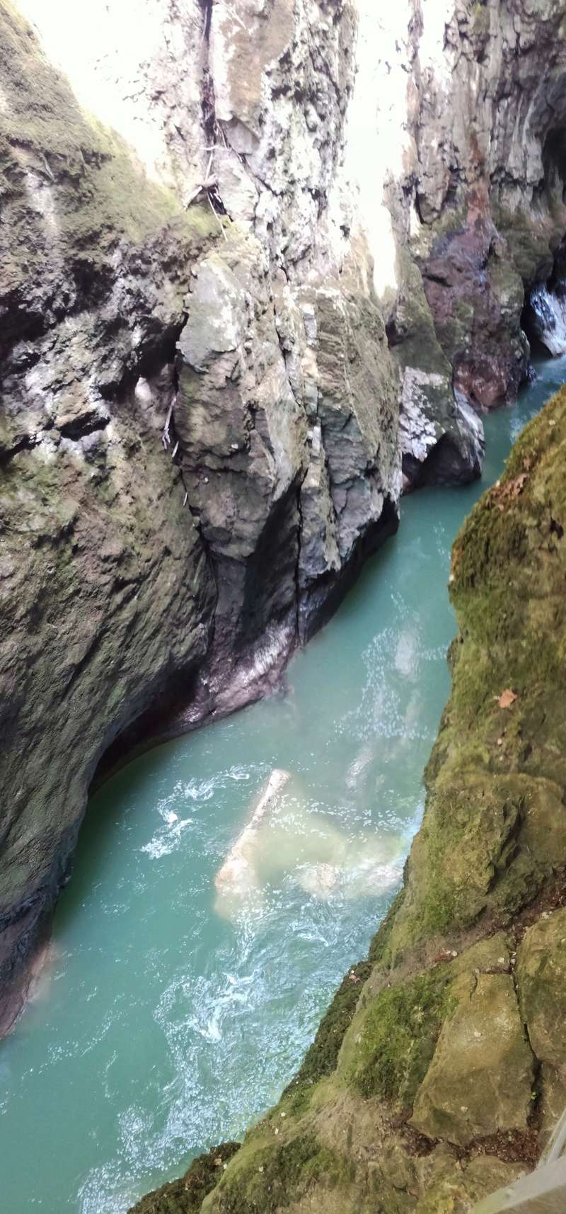 Balade dans les Alpes Mai 2018 4310