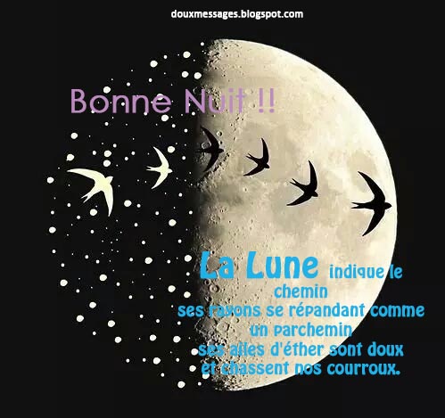 bonzour bonne zournée et bonne nuit notre ti nid za nous - Page 13 Nigh_310