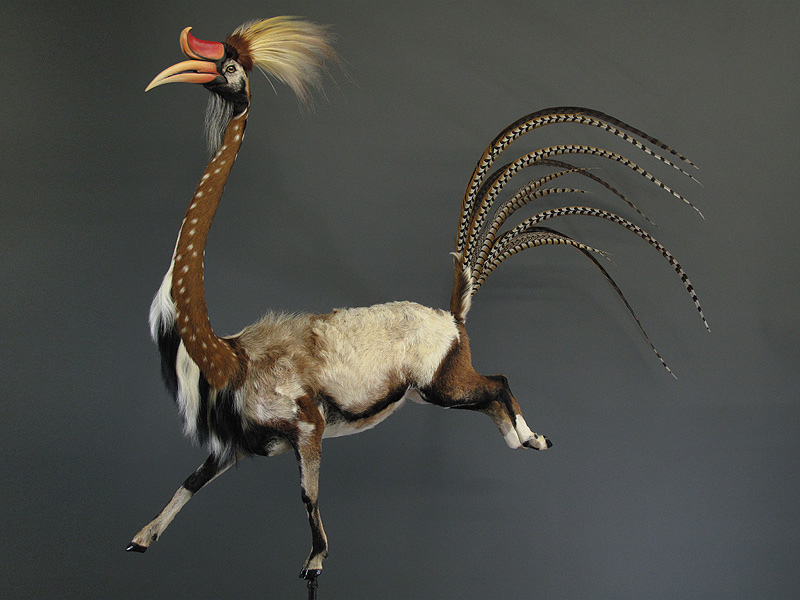 Mátame, camión! (El Tópic de la Taxidermia Chunga) - Página 10 56524210