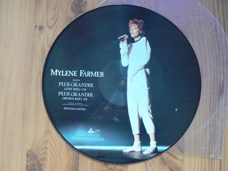 A VENDRE Pic-disc Plus Grandir- VENDU P1140315