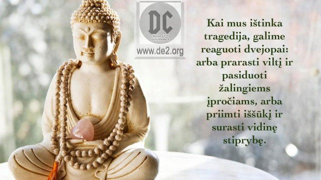 Budizmo išmintis #2 Image036
