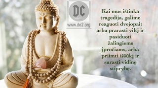 Budizmo išmintis #2 Image010