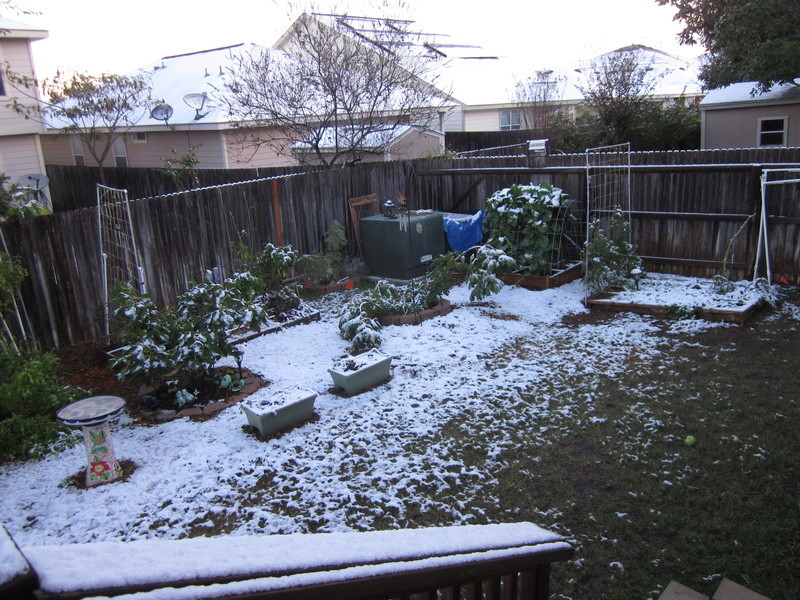 Holy snow Batman! - Page 7 Img_2611