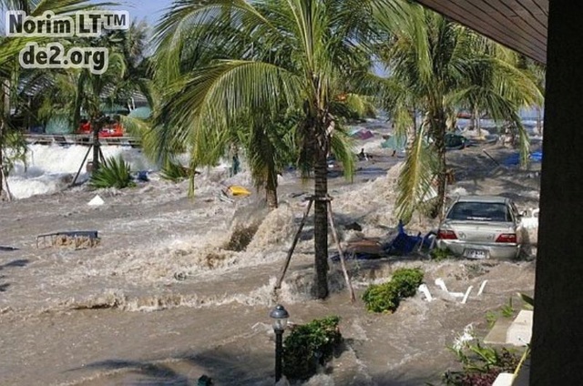Azijos cunamis. Mirtina banga 2004.12.26 Image051