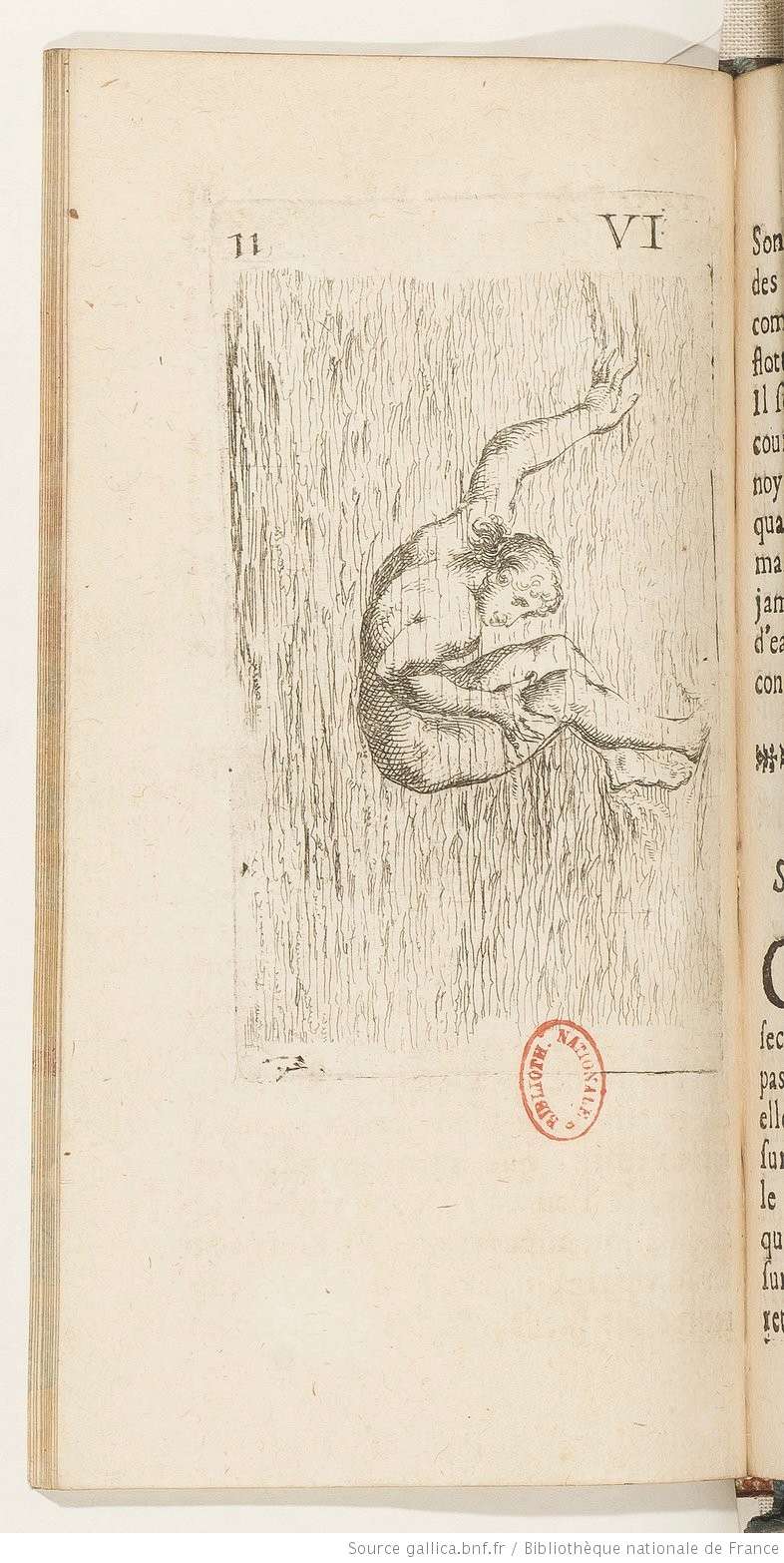 THEVENOT - L'art de nager (1696) 01021