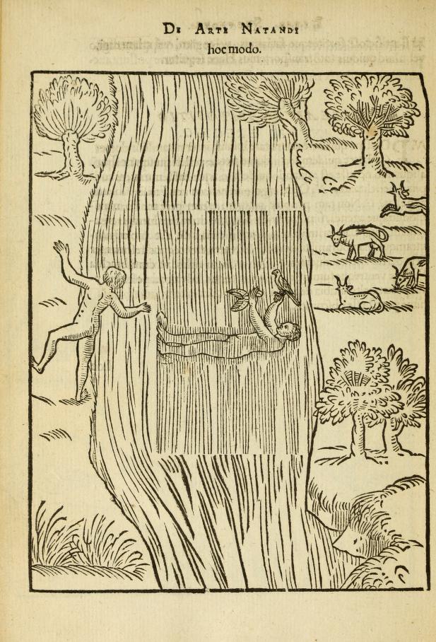 DIGBY - De arte natandi (1587) 03612