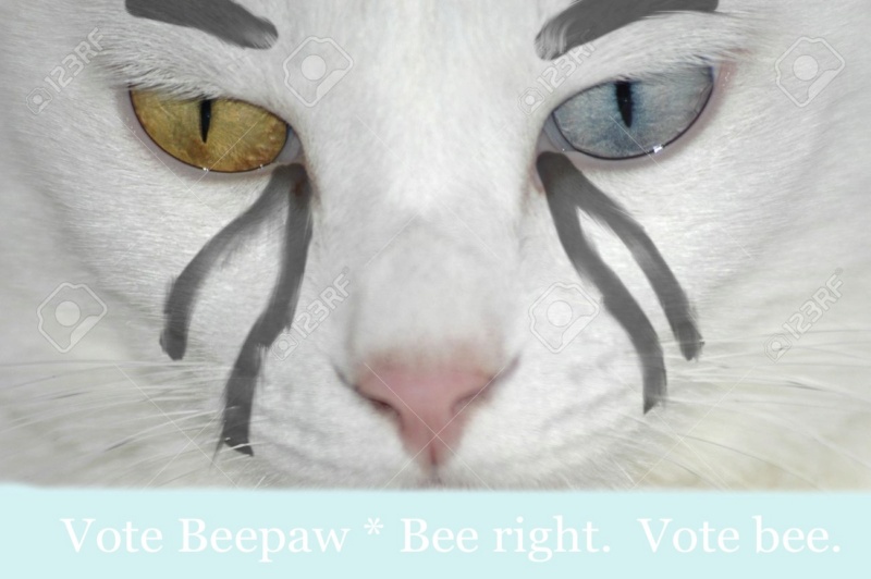 Voting Poster [This is a Campaign Ad] Bee10