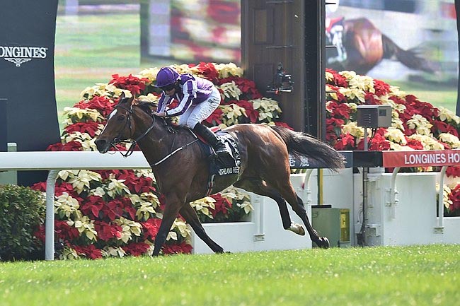 2017 Hong Kong Vase - HIGHLAND REEL  2017-h10