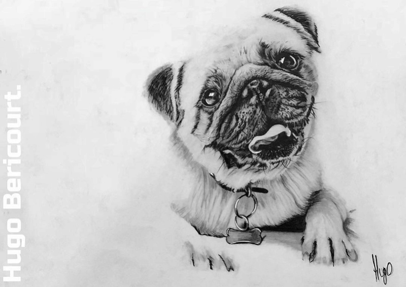 [GRAPHITE] Réalisme Chien Carlin Img_2210