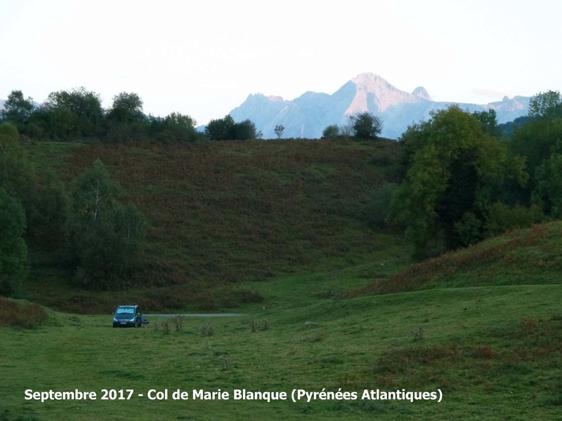 Et voilà les quelques rares photos prises  Col_de11