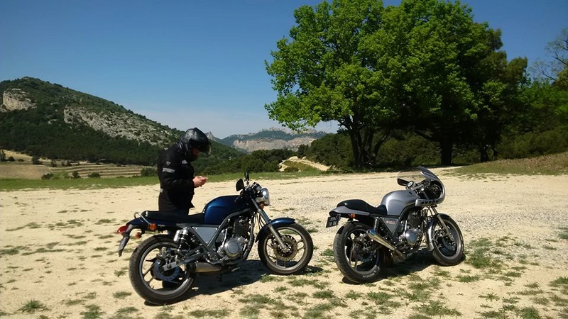 entre le Ventoux et les Dentelles de Montmirail 31093310