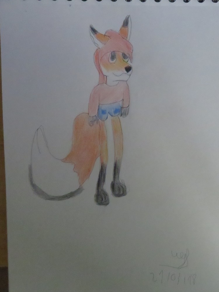 Galerie de Lighoppe - Page 2 Fox_2110