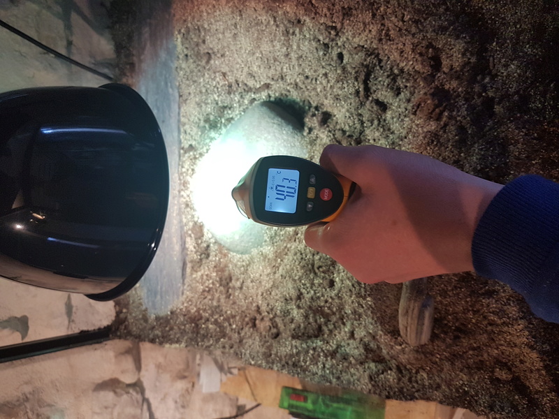 Problème de température pour les varanus acanthurus - Page 3 20171214