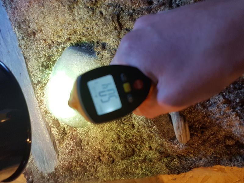 Problème de température pour les varanus acanthurus - Page 3 20171220