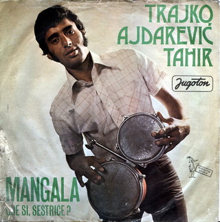 Tahir Ajdarevic Trajko - Diskografija R-252114