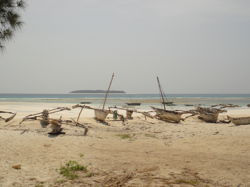 6. Zanzibar Dsc03910