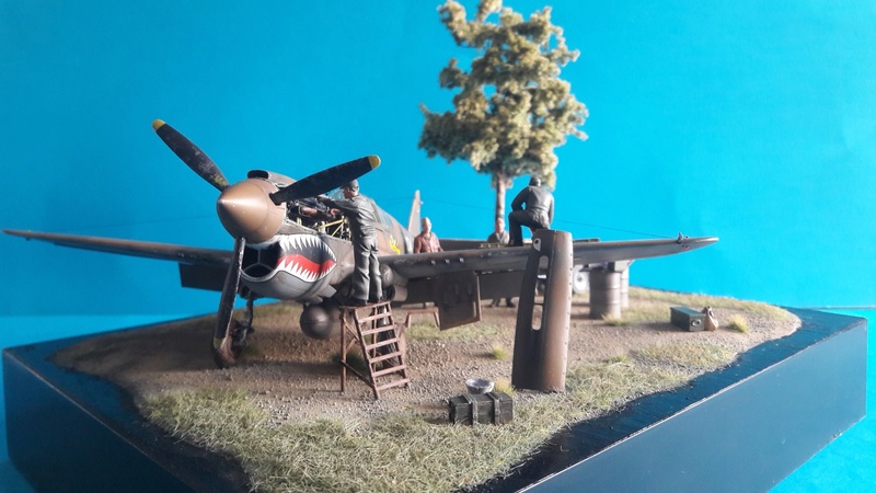 Curtiss P40E Warhawk - 23 fighter group "ex AVG Flying tirger" -N°104 Major E F Rector Image324