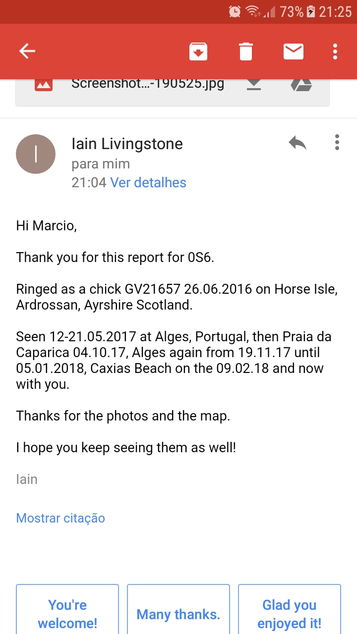 Larus fuscus - anilhas brancas - Escócia (Iain Livingstone) - Página 3 Screen15
