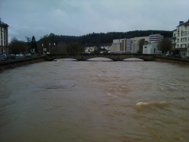 Entre canal et Moselle. Sortie du 05/01/2018 Mosell14