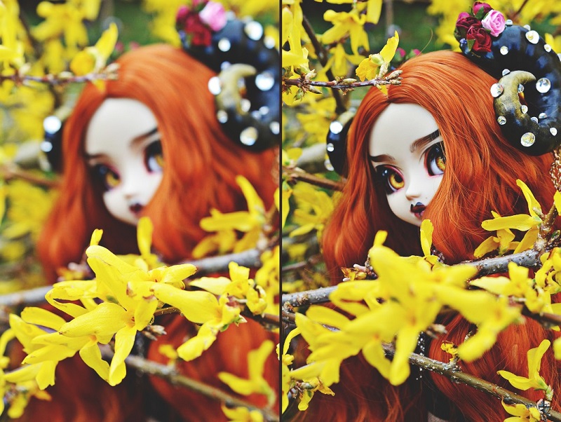 ♦ [The Only One] Forest of Light [Pullip FC] P.2 ♦ - Page 2 Dsc_2022