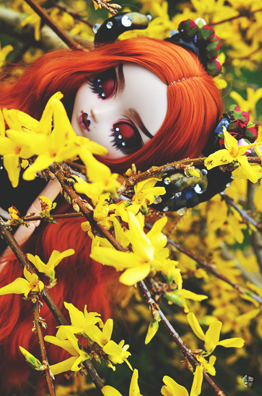 ♦ [The Only One] Forest of Light [Pullip FC] P.2 ♦ - Page 2 Dsc_2023