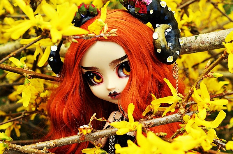 ♦ [The Only One] Forest of Light [Pullip FC] P.2 ♦ - Page 2 Dsc_2024