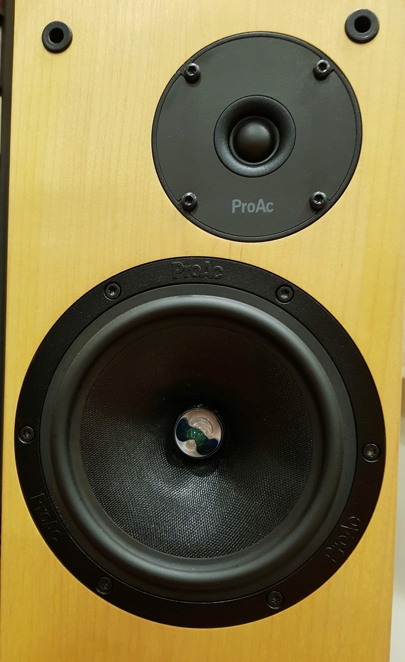 ProAc D18 Speakers (Used) 1_l_b10